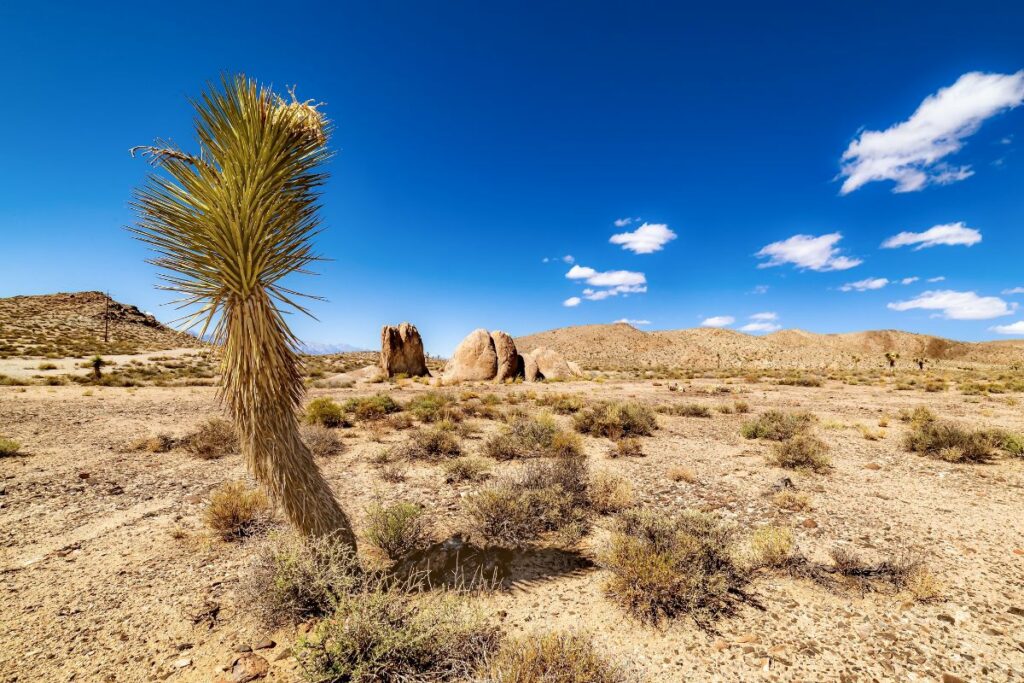 Atacama, desierto caluroso y seco clave para energías renovables (imagen referencial). Foto: Freepik.