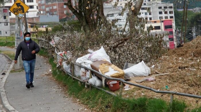 Los roedores proliferan en zonas del centro y el norte de Quito - El ...