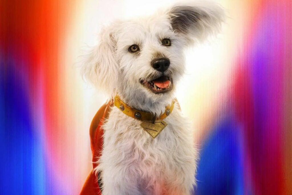 James Gunn rinde homenaje a su perro adoptado con Krypto en ‘Superman’. Foto: Instagram @warnerbros.