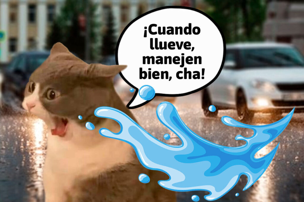 Michimercio mientras cruza la calle: Hoy no me toca bañoooo…