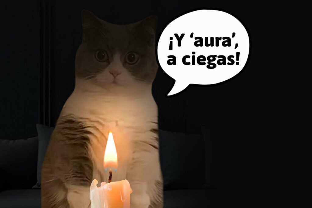 Un michi a ciegas. Foto: EL COMERCIO