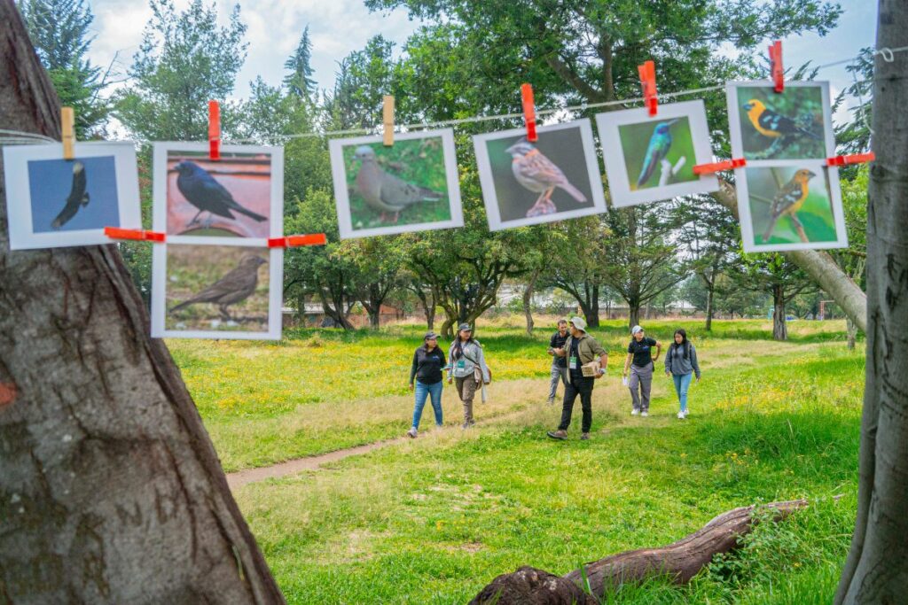 Cientos de ciudadanos quiteños se convirtieron en científicos ciudadanos durante el Desafío Naturaleza Urbana, documentando la rica biodiversidad de la ciudad y generando datos valiosos para la conservación.