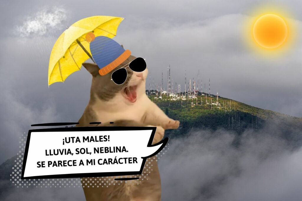 Michimercio se queja del clima de Quito