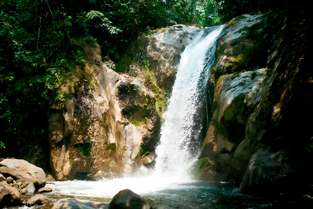 Fotografía de la catarata Camacho, una de las 50 áreas protegidas en Ecuador. Foto: X Ministerio del Ambiente