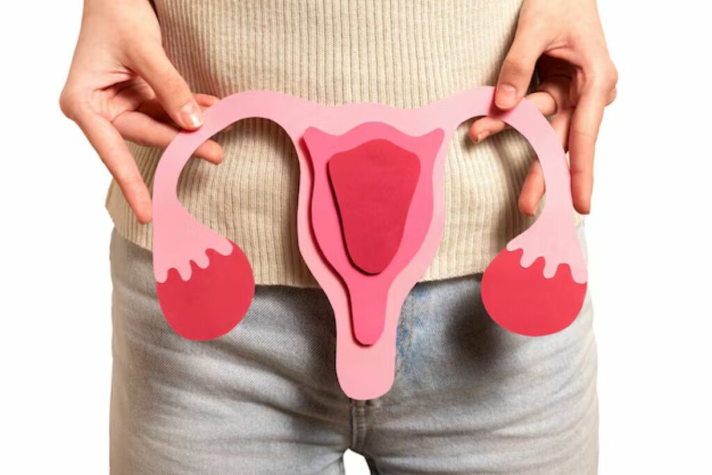 El cáncer de ovario, clasificado como el sexto tipo de cáncer más prevalente entre las mujeres a nivel global. Foto: Freepik.