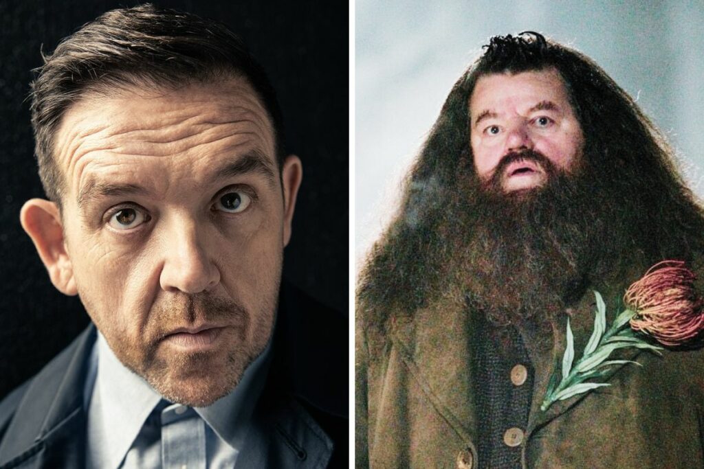 Nick Frost encarnará al entrañable Rubeus Hagrid