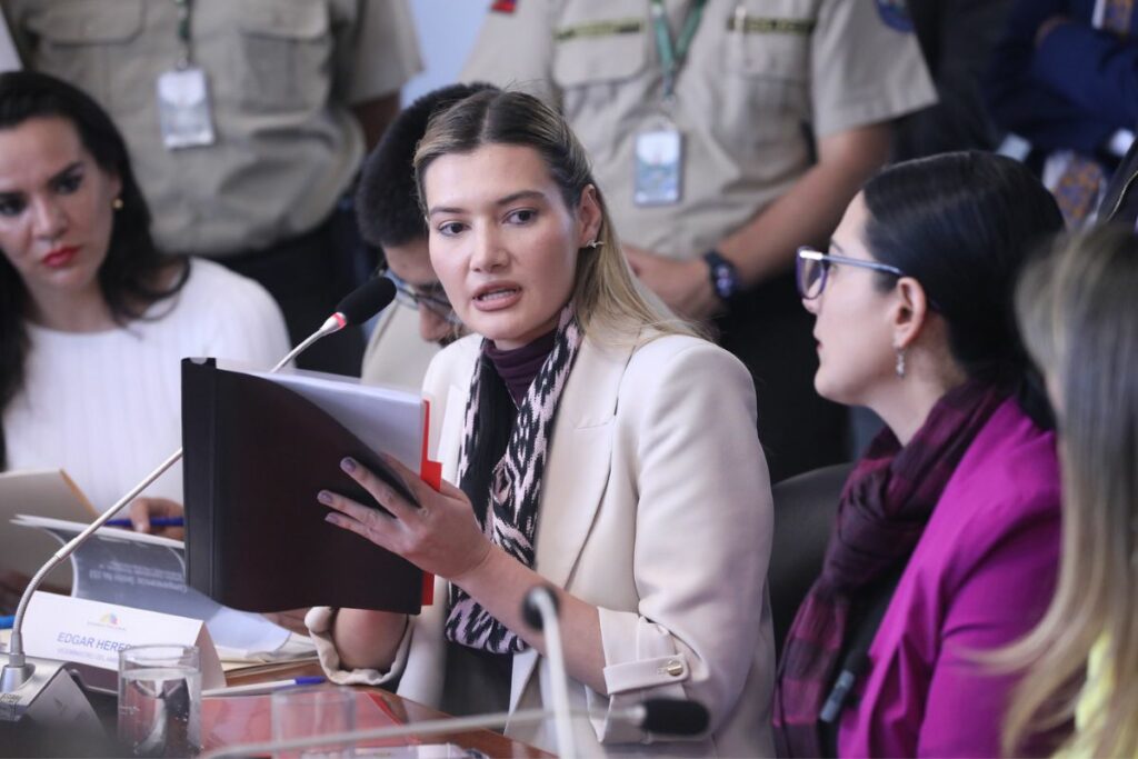 Sade Fritschi, ministra de Ambiente, dio algunos datos de su gestión en la Comisión de Biodiversidad de la Asamblea Nacional.