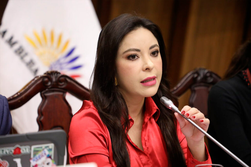 Comisión de Fiscalización deberá presentar información un tiempo determinado por la Fiscalía sobre la comparecencia de Ronny Aleaga. Foto: X Asamblea