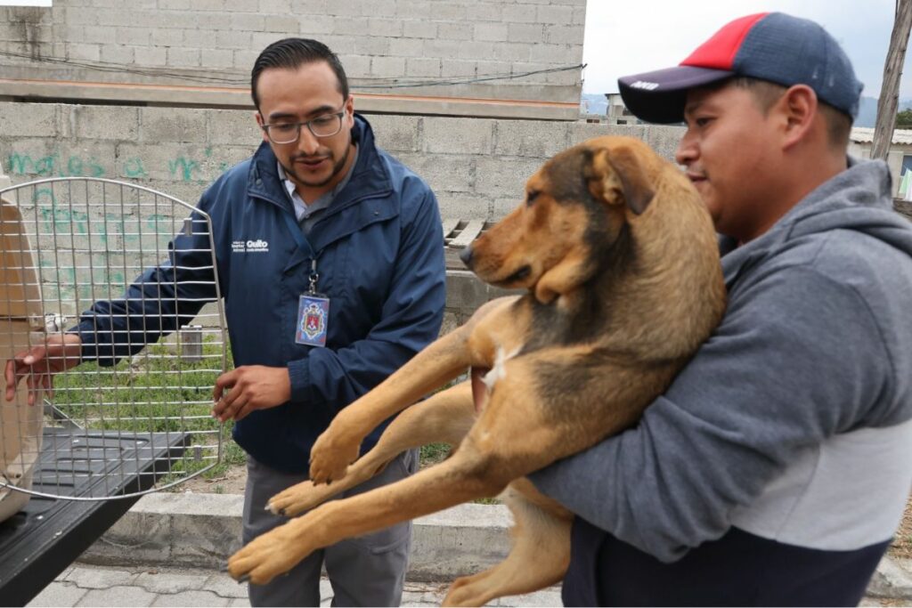 Durante un recorrido con los inspectores de la UBA. Foto: Diego Pallero/ EL COMERCIO