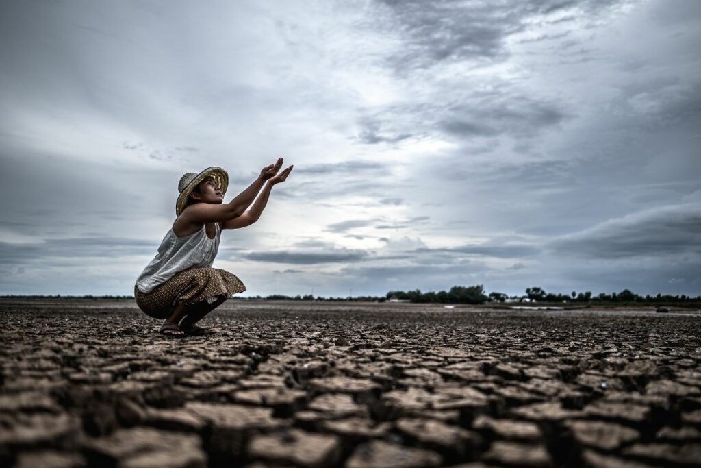 La degradación del 40% de las zonas terrestres afecta a la mitad de la población mundial. Foto: Freepik.