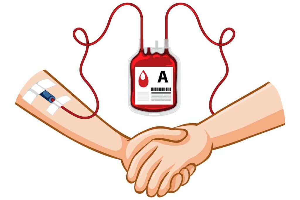 La donación de sangre es cada vez más común, siendo esencial comprender los tipos de sangre. Foto: Freepik.