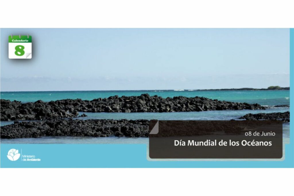 El Ministerio del Ambiente (MAE) lidera la protección de zonas críticas para la biodiversidad marina. Foto: Ministerio de Ambiente.