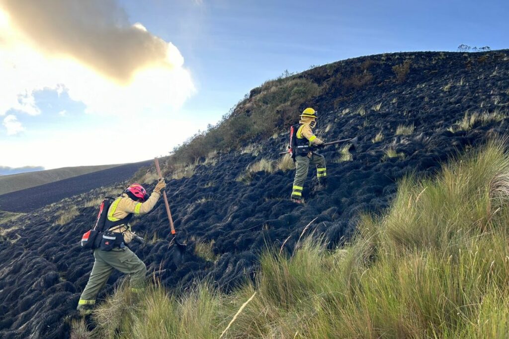 Los Bomberos sofocaron un incendio forestal en el cerro Puntas, el 9 de julio.