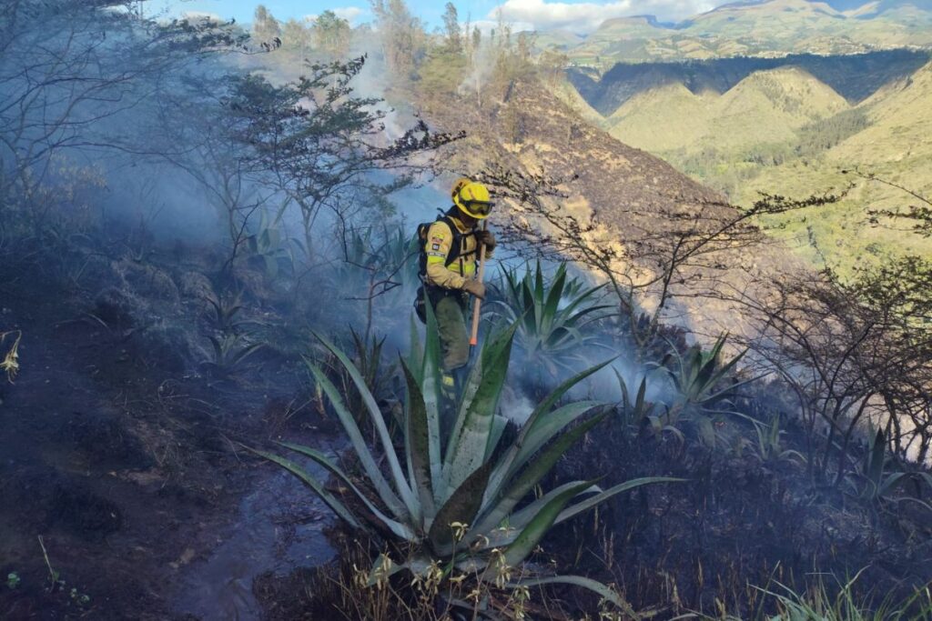 Bomberos Quito controló un incendio forestal en el sector de El Quinche-La Victoria