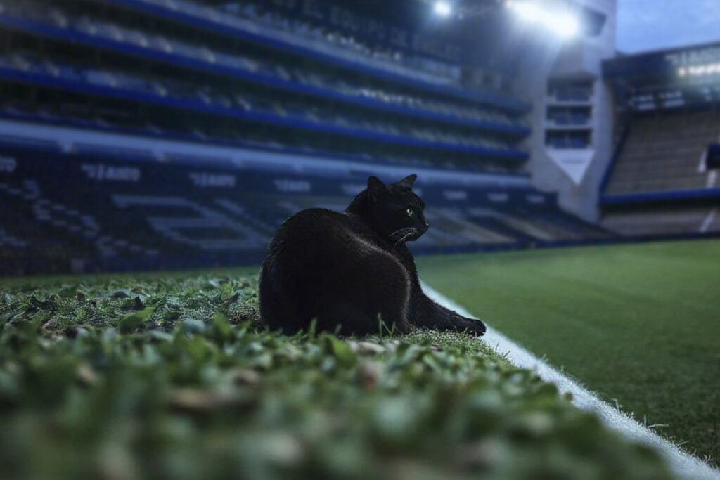 Foto: X de Emelec.
