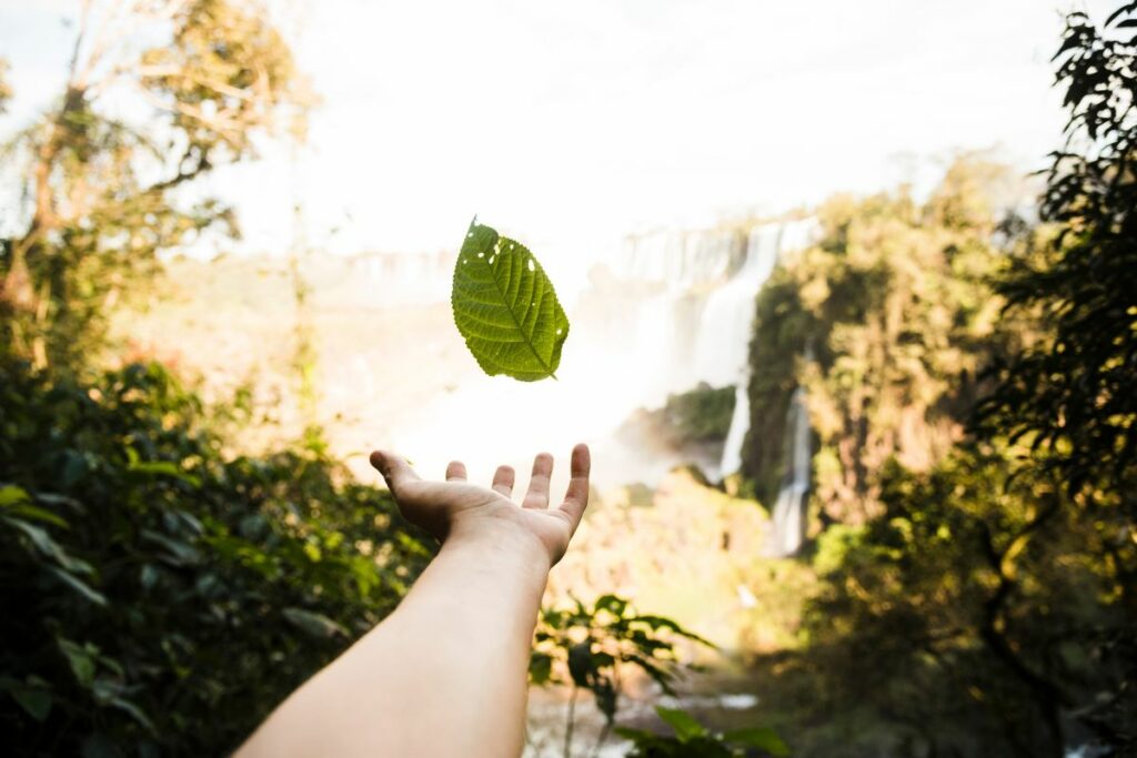 El Día Mundial de la Ecología busca crear conciencia sobre la interrelación entre los seres vivos y su entorno. Foto: Freepik.