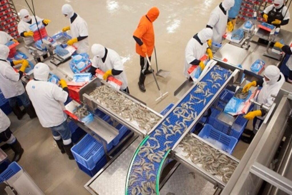 El camarón es el principal producto de exportación ecuatoriano, que consume China. Archivo