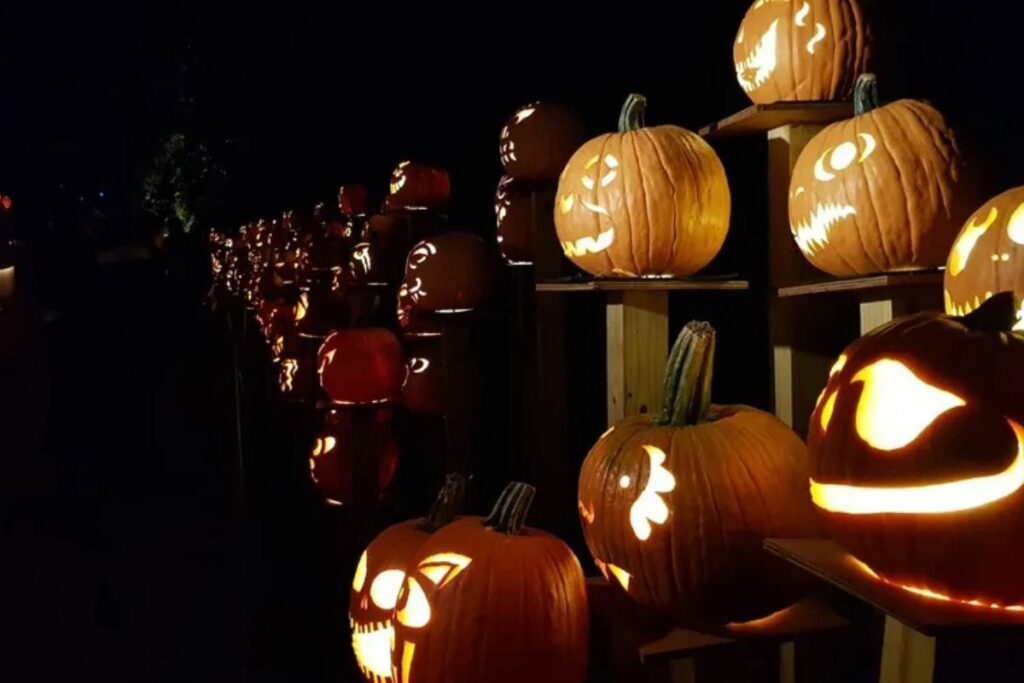 Imagen que representa la celebración de Halloween.