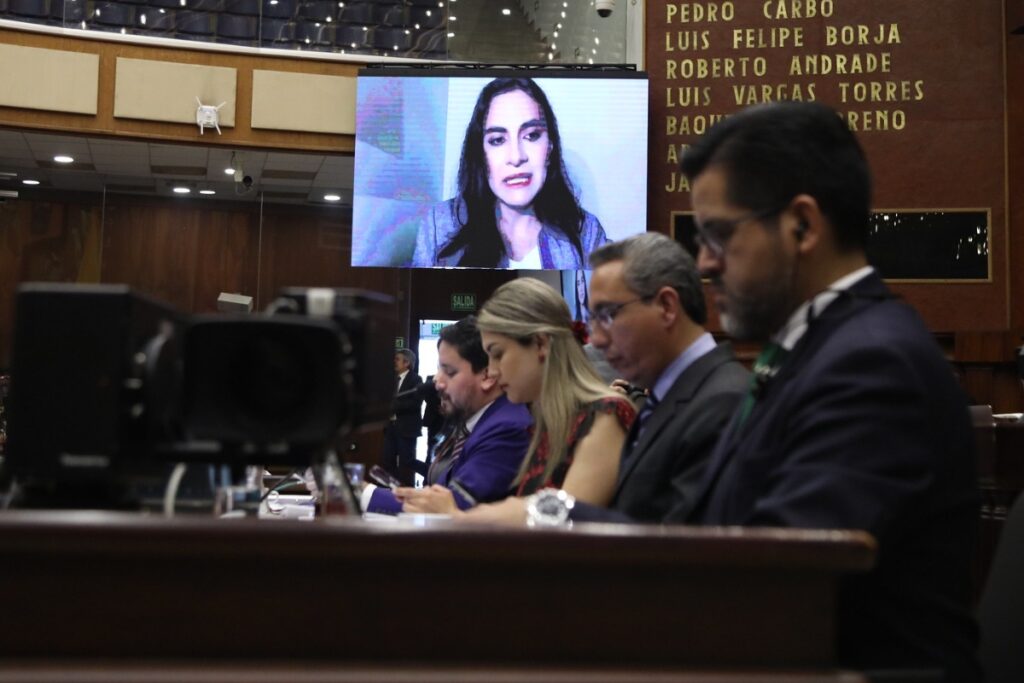Pleno de la Asamblea el pasado 13 de noviembre de 2024.
