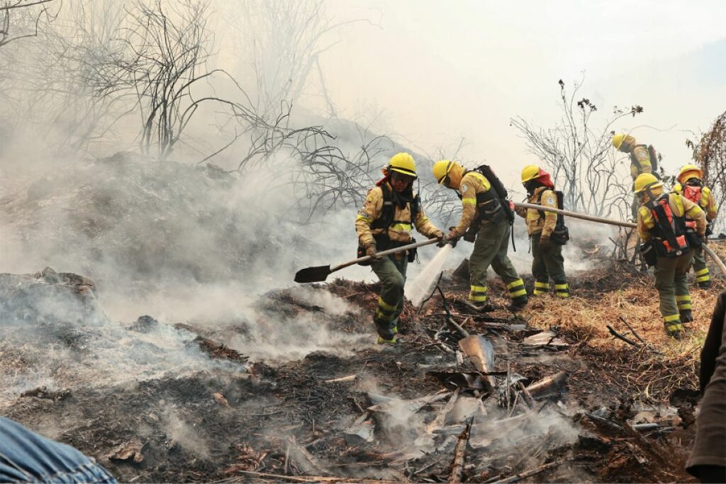 Los bomberos de Quito trabajaron intensamente para apagar las llamas en Guápulo.