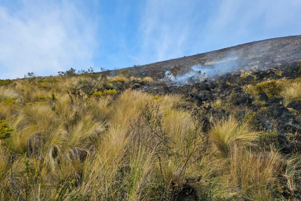 El incendio forestal registrado en la Reserva Ecológica Ilinizas se controló este viernes 8 de noviembre.