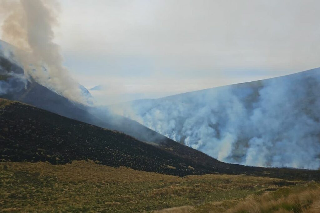 El incendio forestal es atendido por el Cuerpo de Bomberos Mejía.