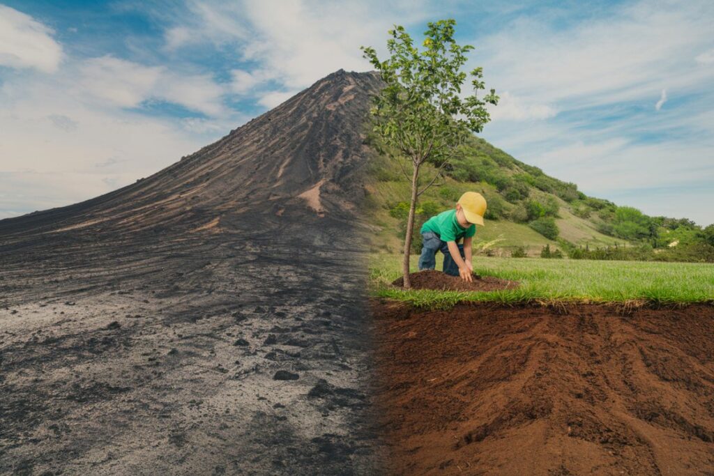 Imagen creada con inteligencia artificial que muestra la arborización, luego de un incendio forestal.
