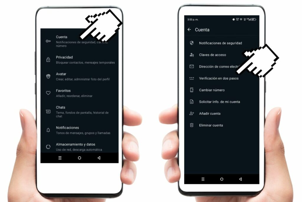 Foto: Captura de pantalla.