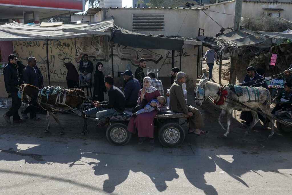 Palestinos desplazados internos viajan en carros tirados por burros en lugar de taxis debido a la escasez de combustible en las calles de Deir Al Balah, en el centro de la Franja de Gaza, el 20 de noviembre de 2024.