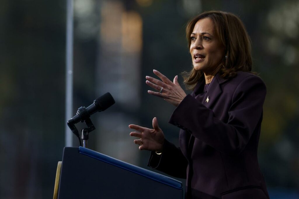 La presidenta y excandidata presidencial demócrata Kamala Harris pronuncia su discurso de concesión.