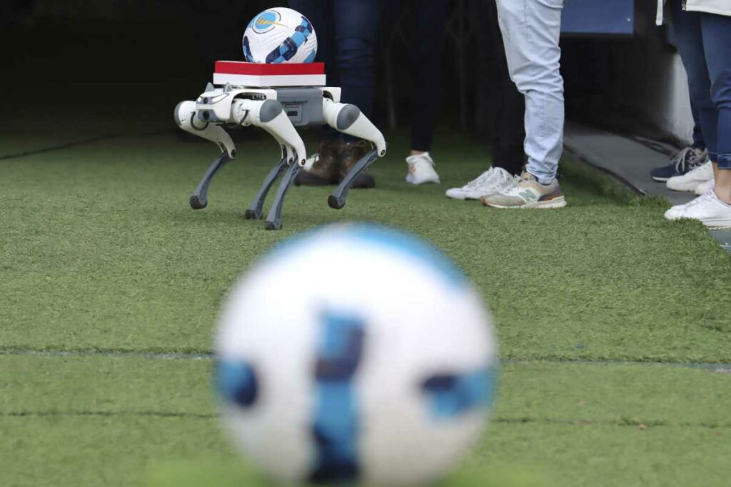 Imagen del balón oficial con el que se disputa la Liga Pro 2024.