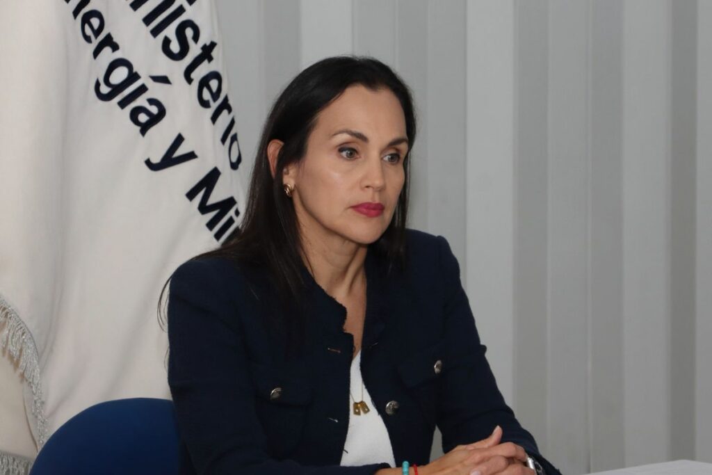 Inés Manzano, ministra de Energía, encargada.