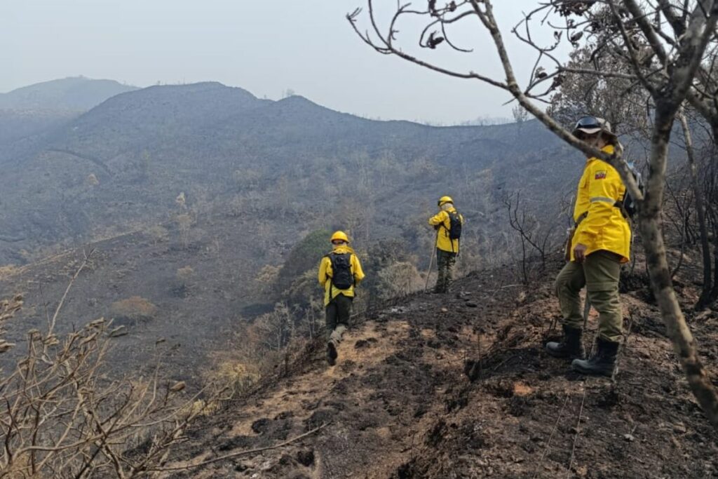 Incendio forestal en el Parque Nacional Podocarpus consume miles de  hectreas - El Comercio