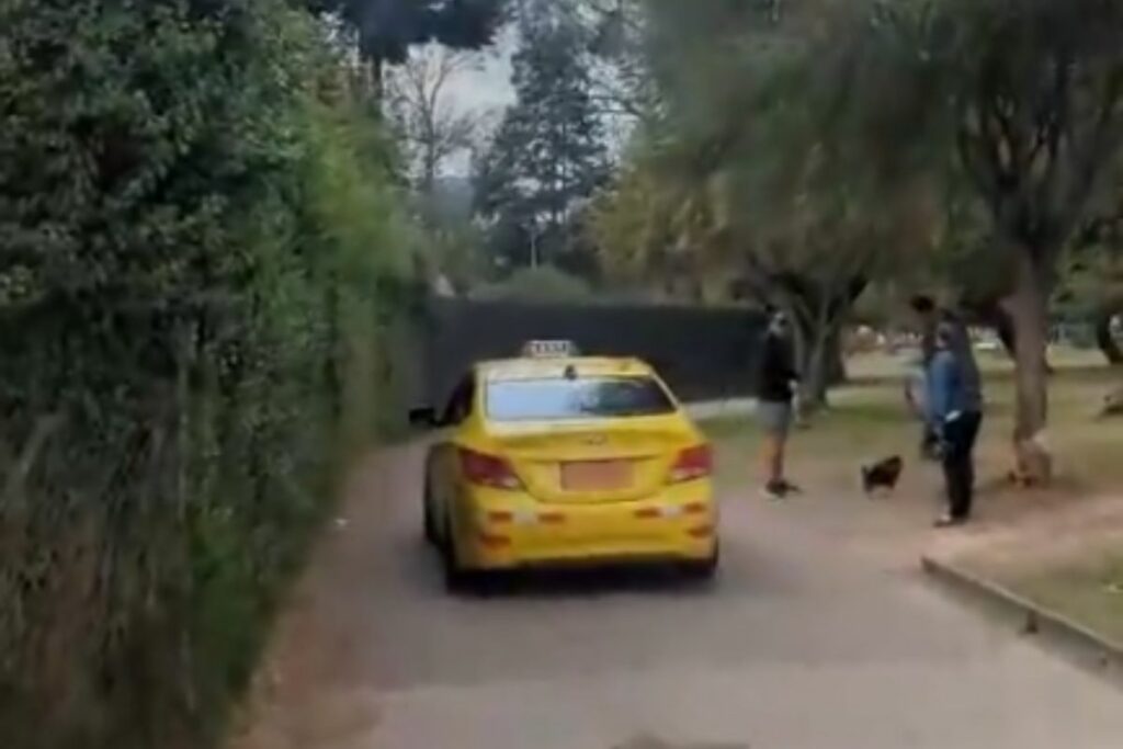 Un taxi invadió los senderos internos del parque.
