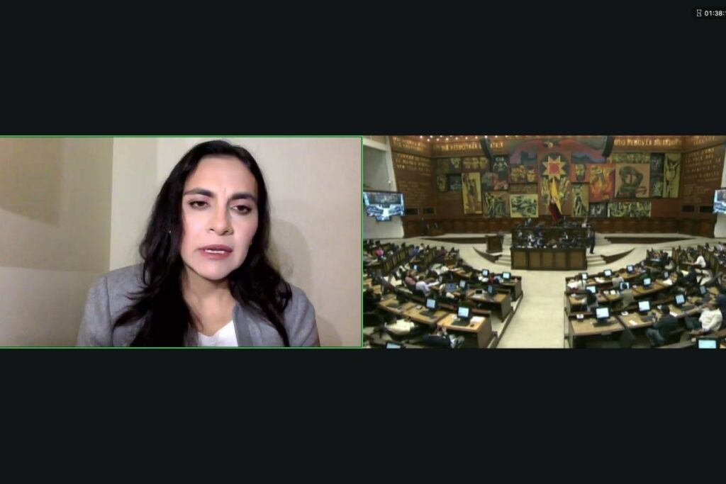 La vicepresidenta suspendida, Verónica Abad, compareció de forma virtual desde Ankara, Turquía.