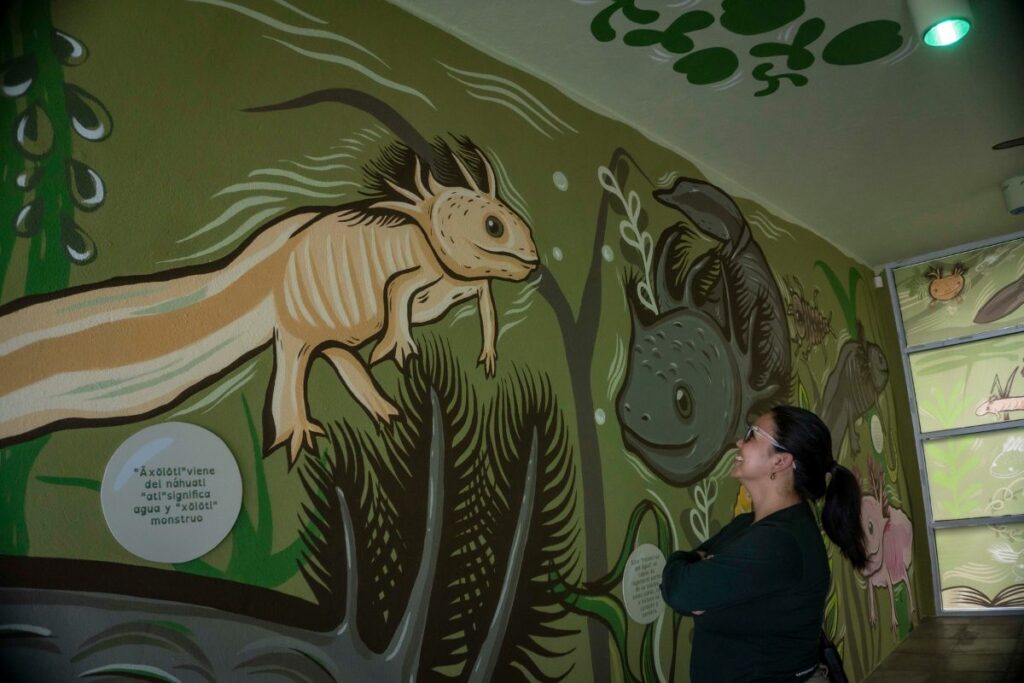 Foto: Zoológico de Quito.