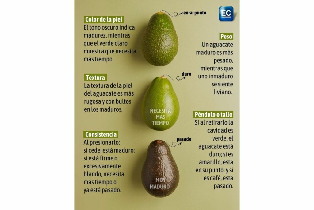 Foto: Archivo/EL COMERCIO.