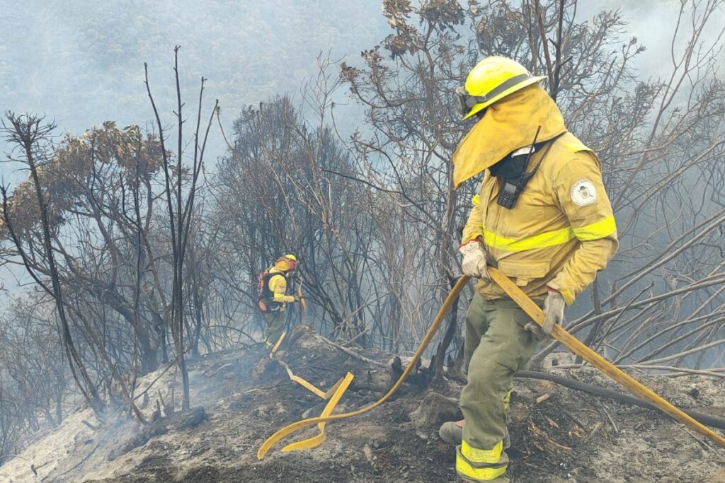 Bombero intentan sofocar un incendio en Quito. Foto: Cortesía