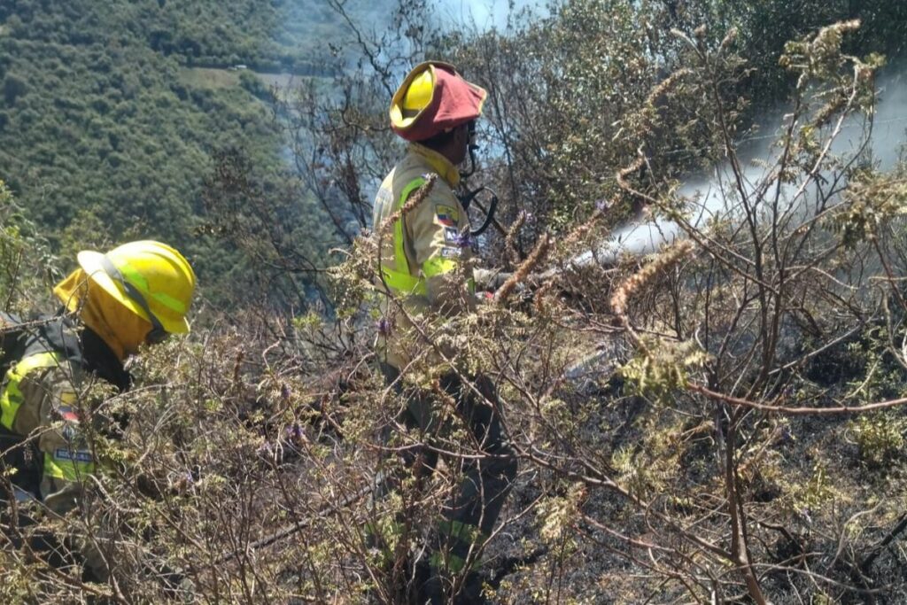 Incendio forestal en Quito fue controlado luego de nueve horas de ...