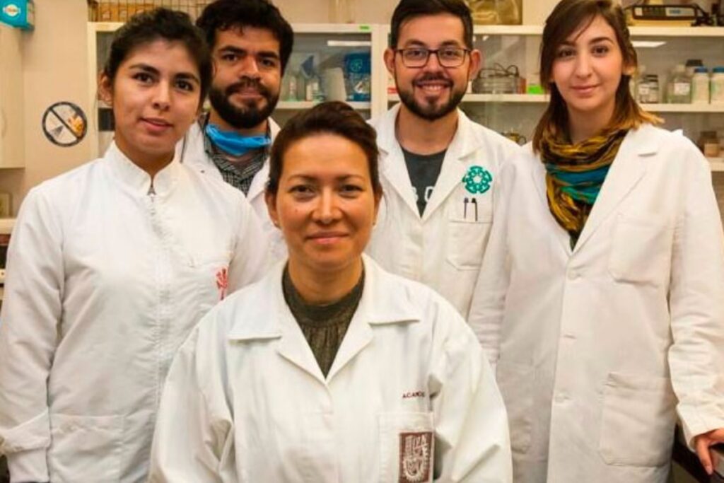 La científica Eva Ramón Gallegos junto con su equipo de trabajo. Foto: Portal del Gobierno de México