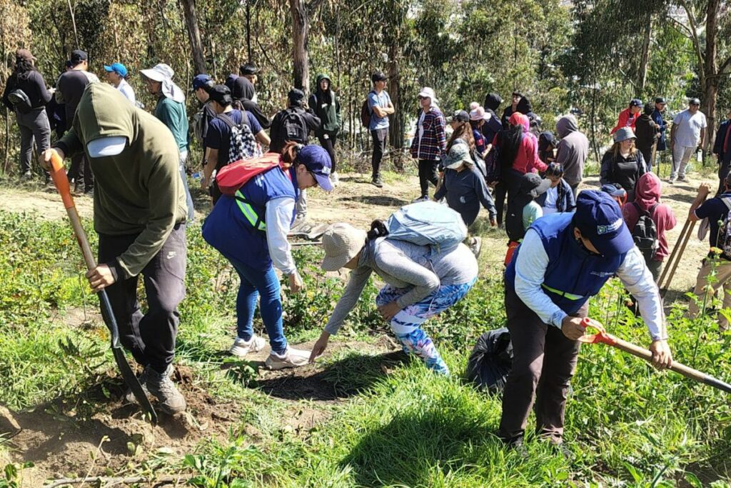 Voluntarios se sumaron a los esfuerzos de reforestar las zonas que sufrieron los incendios del año pasado.