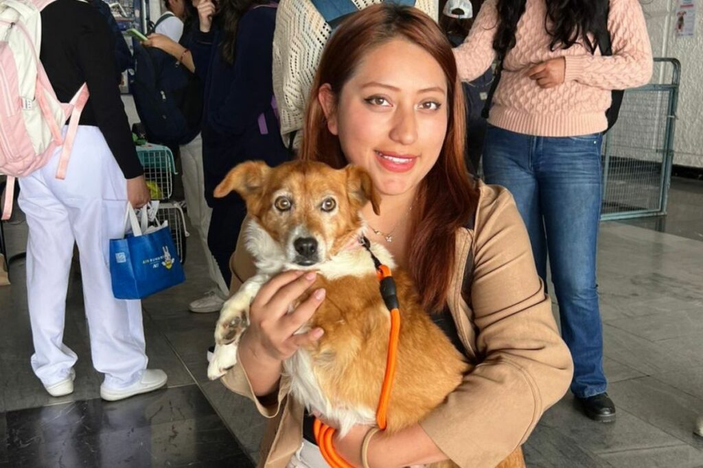 Andrea adoptó a la perrita que fue víctima de maltrato extremo en Quito. Foto: Cortesía UBA