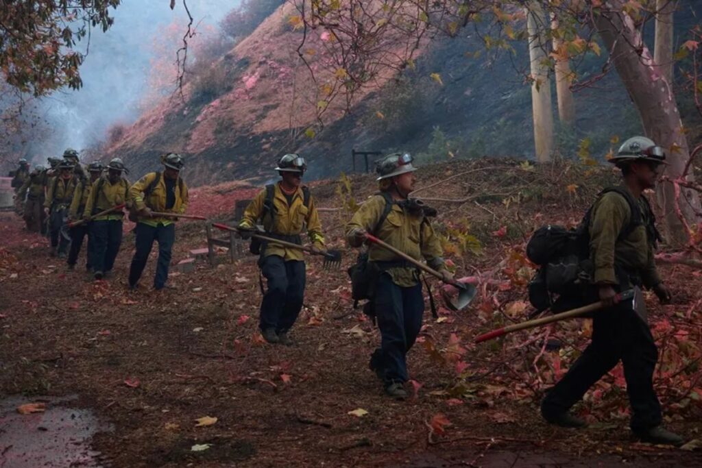 México envía misión solidaria a California tras incendios. Foto: EFE.