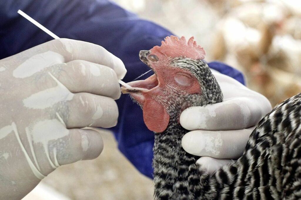 Fotografía de archivo en la que se ve a Luis Fabián, un especialista de la Oficina de control animal del departamento de Agricultura estatal de Florida.