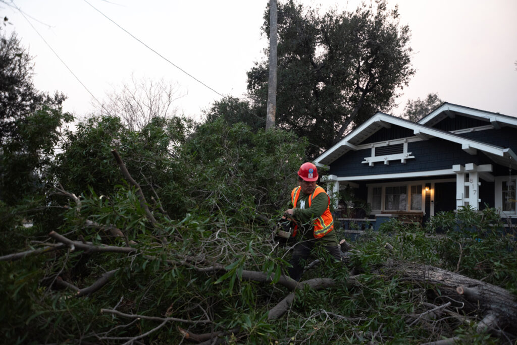 Un jornalero indocumentado remueve un árbol caído este miércoles en Pasadena (Estados Unidos).