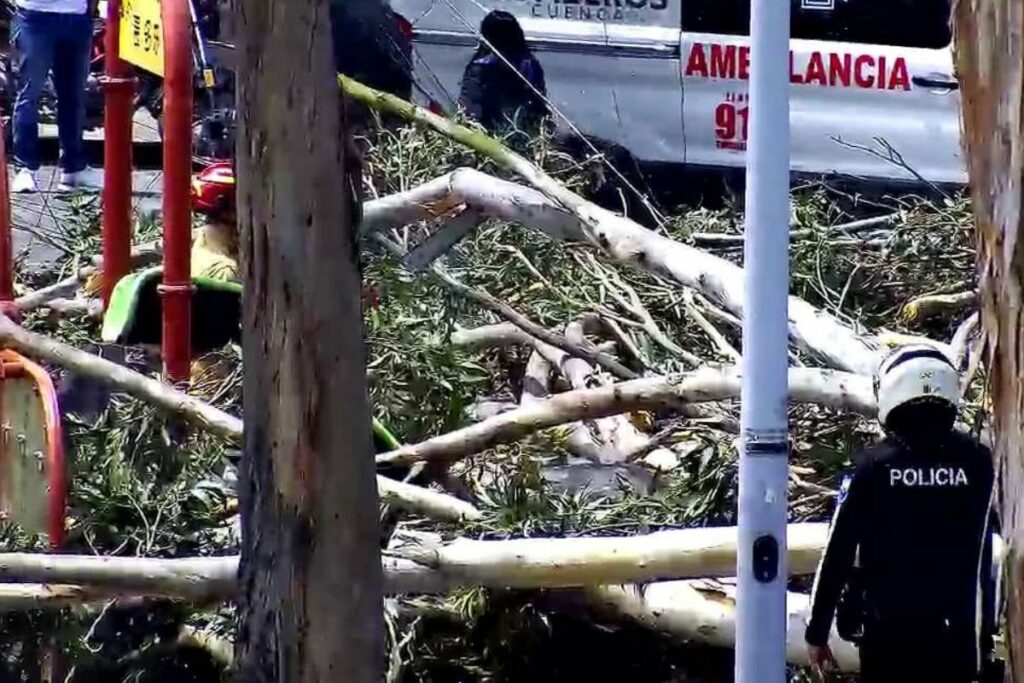 Una niña, de siete años, y un niño, de tres, murieron aplastados por un árbol en Cuenca. Ellos jugaban en el Parque de La Paz. Cortesía