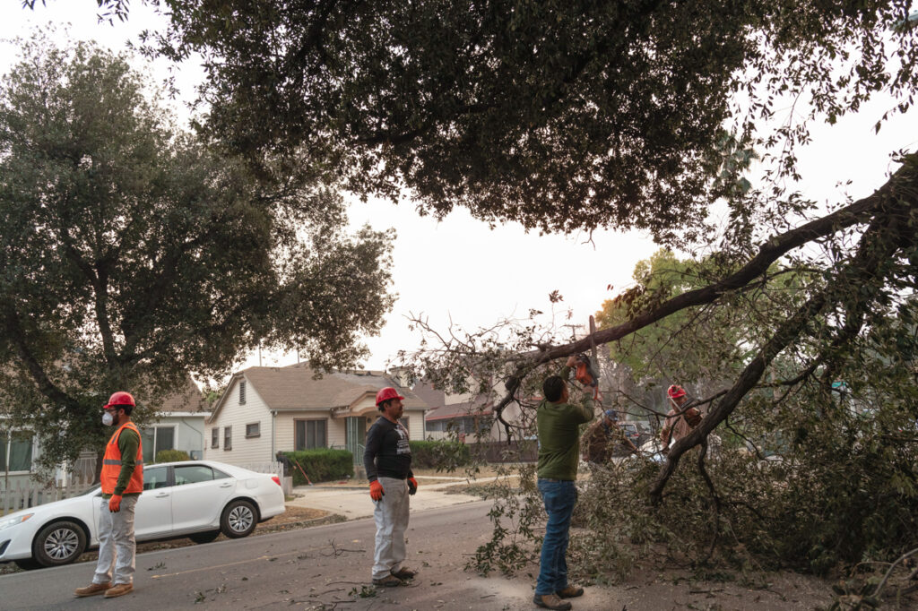 Jornaleros indocumentados remueven un árbol caído este miércoles en Pasadena (Estados Unidos).
