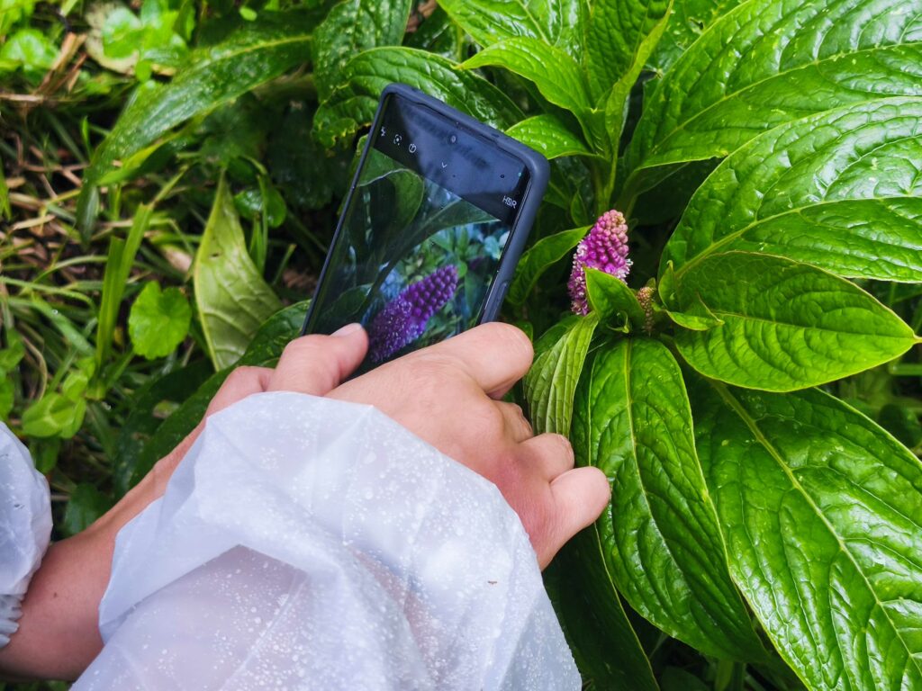 Xiaomi Redmi Note 14 Pro 5G durante su enfoque en la función macro de la cámara. 