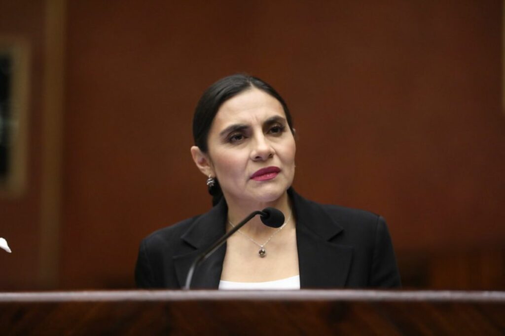 El 23 de enero de 2024, Verónica Abad acudió a la Asamblea Nacional.