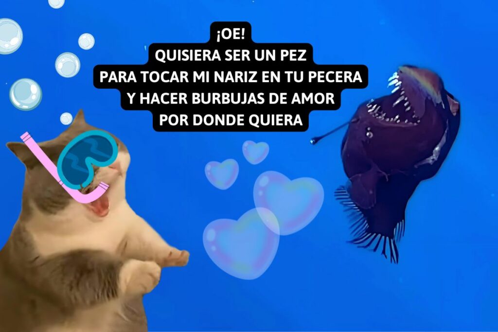 Michimercio también se enamoró de un pez